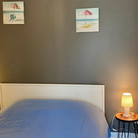 Les Tremieres N°1 - A 5mn Des Plages A Velo * La Micheliere