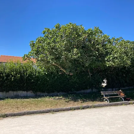 Les Tremieres N°1 - A 5mn Des Plages A Velo Appartement *